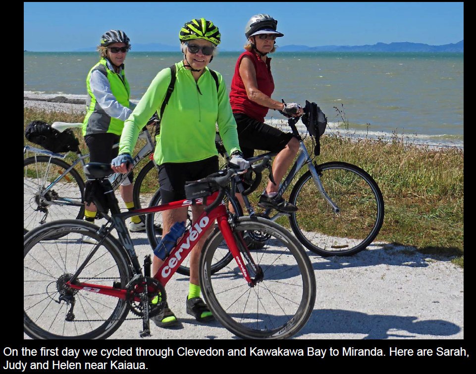 coro201503.jpg (249099 bytes)